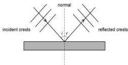 img-169.jpeg