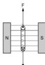 img-67.jpeg